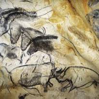 «Стена с лошадьми». Пещера Шове (Франция), рисунки кроманьонцев, возраст ~ 33000 лет.