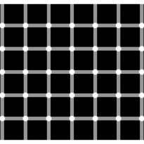 Предлагается сосчитать черные точки.