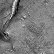 «Стеклянные тоннели» на Марсе (4). Снимки переданы американской беспилотной станцией «MarsGlobal» 11 августа 1999 г. В районе равнины Ацедалия были найдены объекты, которые на сайтах независимых исследователей Марса фигурируют под названиями «стеклянные туннели», «стеклянные трубы» и «стеклянные черви».