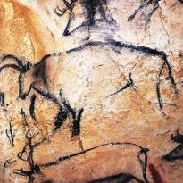Зубр между двух оленей. Рисунки кроманьонцев в пещере Шове (Франция). Древнейшая в мире наскальная живопись. ~ 31-33 тысячи лет.