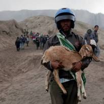 Человек, который спас козла от верующих, желавших принести его в жертву, вулкан Бромо, Индонезия.