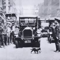 Движение приостановлено из-за кошки, переносящей котёнка через дорогу. Июль 1925, Нью-Йорк.