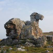 Верблюд-гора. Этот кварцитовый скальный останец (высотой до 20 метров) является одной из самых оригинальных природных скульптур и своеобразным символом Оренбургского сухостепного Зауралья.