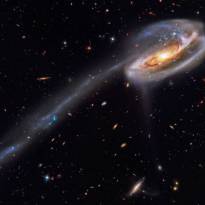 Arp 188; галактика «Головастик». Однажды более компактная галактика вторглась в пределы галактики Arp 188, прошла перед ней — на этом изображении справа налево — и была заброшена за Головастика силами гравитации. Во время самого близкого схождения приливные силы вырвали из спиральной галактики звёзды, газ и пыль, которые образовали эффектный хвост длиной около 280 тысяч световых лет. Галактика скорее всего потеряет свой хвост, когда она станет старше. Звёздные скопления в хвосте превратятся в маленькие спутники большой спиральной галактики.