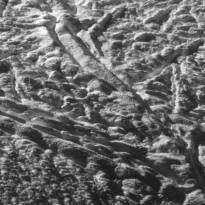 Энцелад, местность под названием Багдад Сулкус. Снимок сделан станцией Кассини. Одна из четырех «полос тигра», которые пересекают Южный полюс Энцелада.
