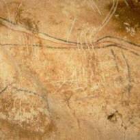 Самец и самка пещерного льва. Рисунки кроманьонцев в пещере Шове (Франция). Древнейшая в мире наскальная живопись. ~ 31-33 тысячи лет.