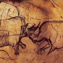 Борьба носорогов. Рисунки кроманьонцев в пещере Шове (Франция). Древнейшая в мире наскальная живопись. ~ 31-33 тысячи лет.