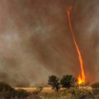Австралиец Крис Тэнджи (Chris Tangey) запечатлел редчайшее природное явление — огненный смерч высотой 30 метров.