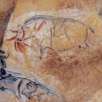 Раненый носорог. Рисунки кроманьонцев в пещере Шове (Франция). Древнейшая в мире наскальная живопись. ~ 31-33 тысячи лет.