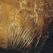 Сова, пещера Шове. Обратите внимание на то, что сова изображена со стороны спины, но с повернутой назад головой.
