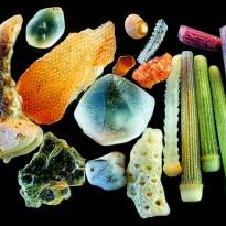 Фотография частиц песка, сделанная с помощью микроскопа. Фото: Yanping Wang.