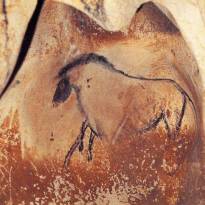 Лошадь. Рисунки кроманьонцев в пещере Шове (Франция). Древнейшая в мире наскальная живопись. ~ 31-33 тысячи лет.