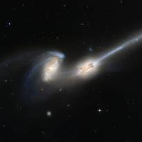 Две спиральные галактики NGC 4676 (Mice Galaxies) в созвездии Волосы Вероники. «Мыши», названные так из-за своих длинных хвостов, уже прошли друг через друга. Скорее всего, они будут сталкиваться снова и снова, пока не сольются. Длинные хвосты образовались потому, что они по-разному притягивают ближнюю и дальнюю части друг друга.