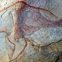 Красный медведь. Рисунки кроманьонцев в пещере Шове (Франция). Древнейшая в мире наскальная живопись. ~ 31-33 тысячи лет.