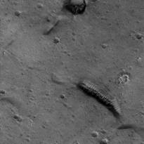 «Стеклянные тоннели» на Марсе (10). Снимки переданы американской беспилотной станцией «MarsGlobal» 11 августа 1999 г. В районе равнины Ацедалия были найдены объекты, которые на сайтах независимых исследователей Марса фигурируют под названиями «стеклянные туннели», «стеклянные трубы» и «стеклянные черви».
